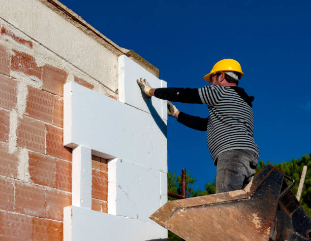 Best Local Insulation Services  in Sunnyside, GA