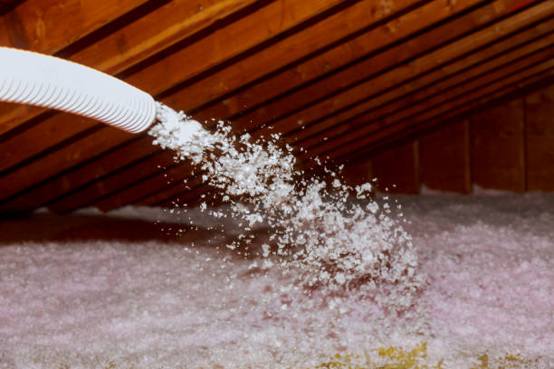 Best Spray Foam Insulation  in Sunnyside, GA
