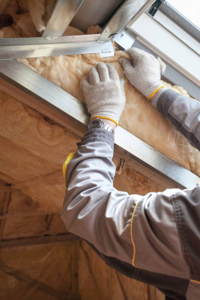 Best Professional Insulation Contractor  in Sunnyside, GA