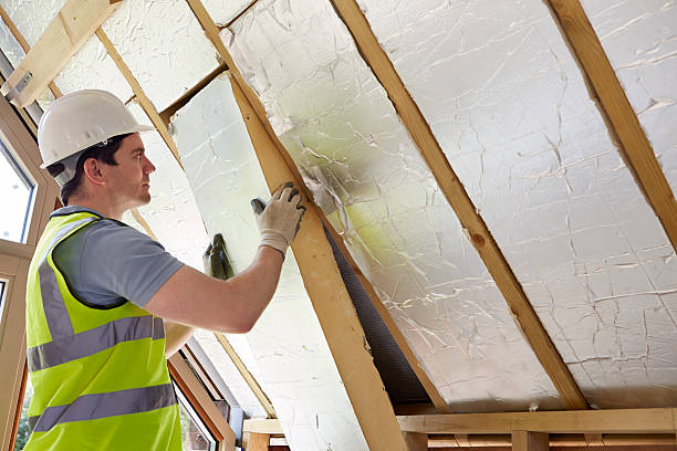 Best Insulation Contractor Near Me  in Sunnyside, GA