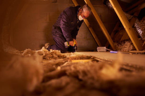 Best Insulation for New Construction  in Sunnyside, GA